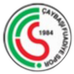 Çaybaşı Fuadiyespor