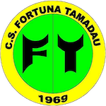 Team