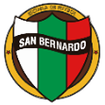 Palestino San Bernardo U9