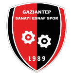 Team