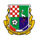 NK Posavina Prelošćica
