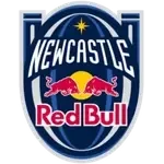 Newcastle Red Bulls