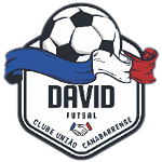 David Futsal