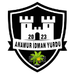 Team