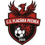 CS Flacăra Pechea