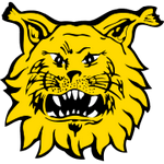 FS Ilves Tampere