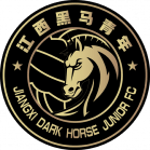 Wenzhou Professional FC