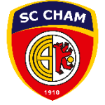 Team