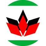 Hungarians in Romania