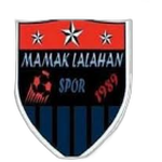 Team