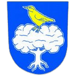 Team