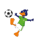Municipal Pucón B U9