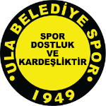 Team