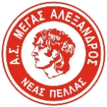 Team