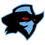 Dallas Renegades