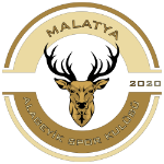 Malatya Alageyikspor