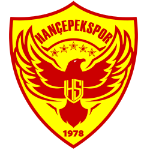 Team