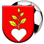 1. FK Buzitka