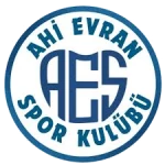 Ahi Evran SK