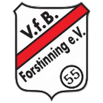 VfB Forstinning II