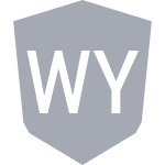 Wycombe Wanderers Lfc