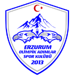 Erzurum Olimpik Adımlar