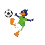 Municipal de Pucón U17