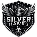 Silver Hawks