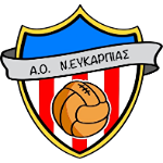 Team