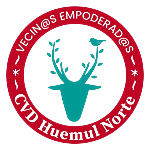 Huemulinos U11