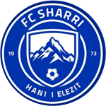 Team