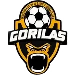 Gorilas de Juanacatlán II