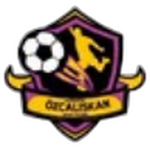 Gaziantep Özçalışkanspor