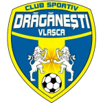 Team