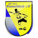 SV Gammelsbach