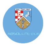 HNK Čapljina/Absolute Club