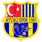 Team
