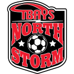 Traverse Bay Area Youth Soccer U19