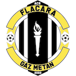 Team