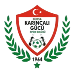 Bursa Karıncalıgücü