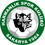 Team