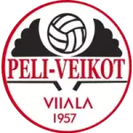 Team