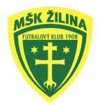 Team