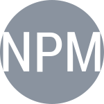 Nugroho P M / Shimizu E