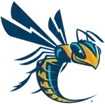 Cedarville Yellow Jackets