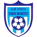 Team