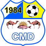Team