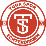 Team