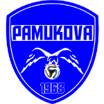 Team