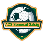 ACS Someşul Sălsig